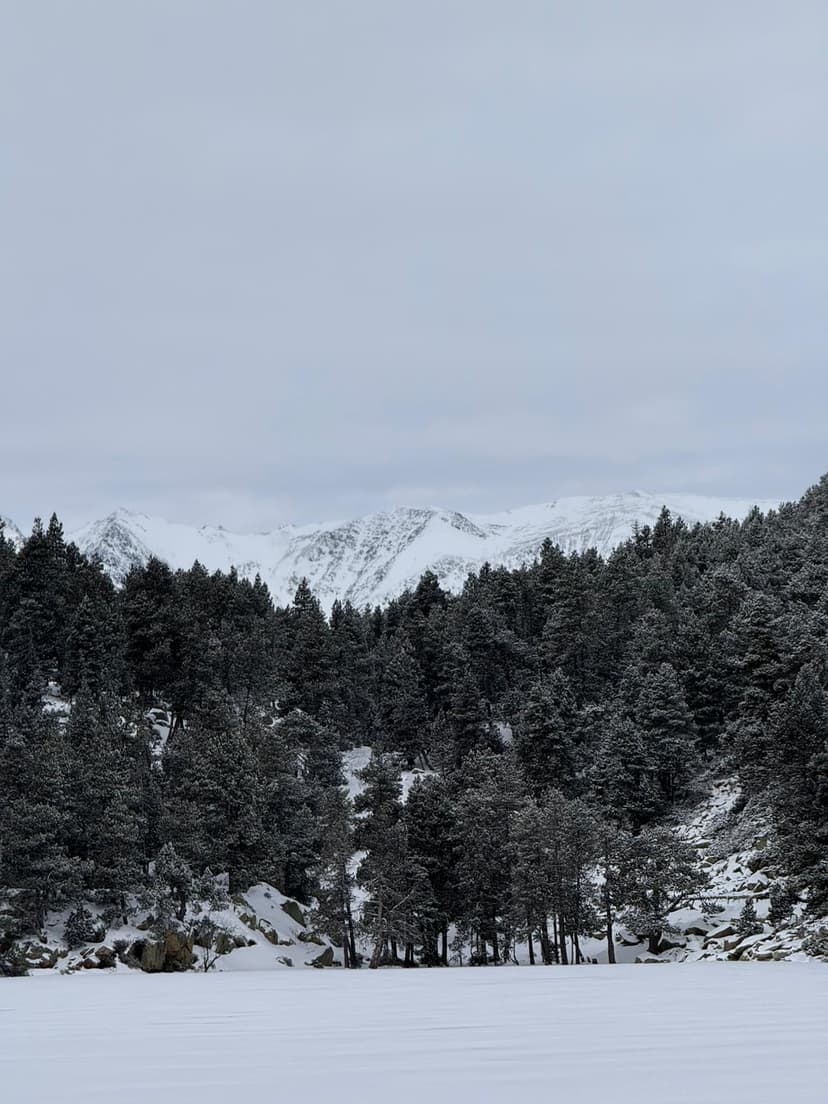 muntanya_nevat_paisatge
